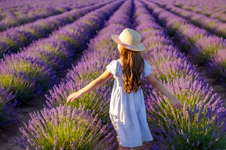 Triad aroma profumatori per la casa con diffusori elettrici per ambienti con oli essenziali per evocare