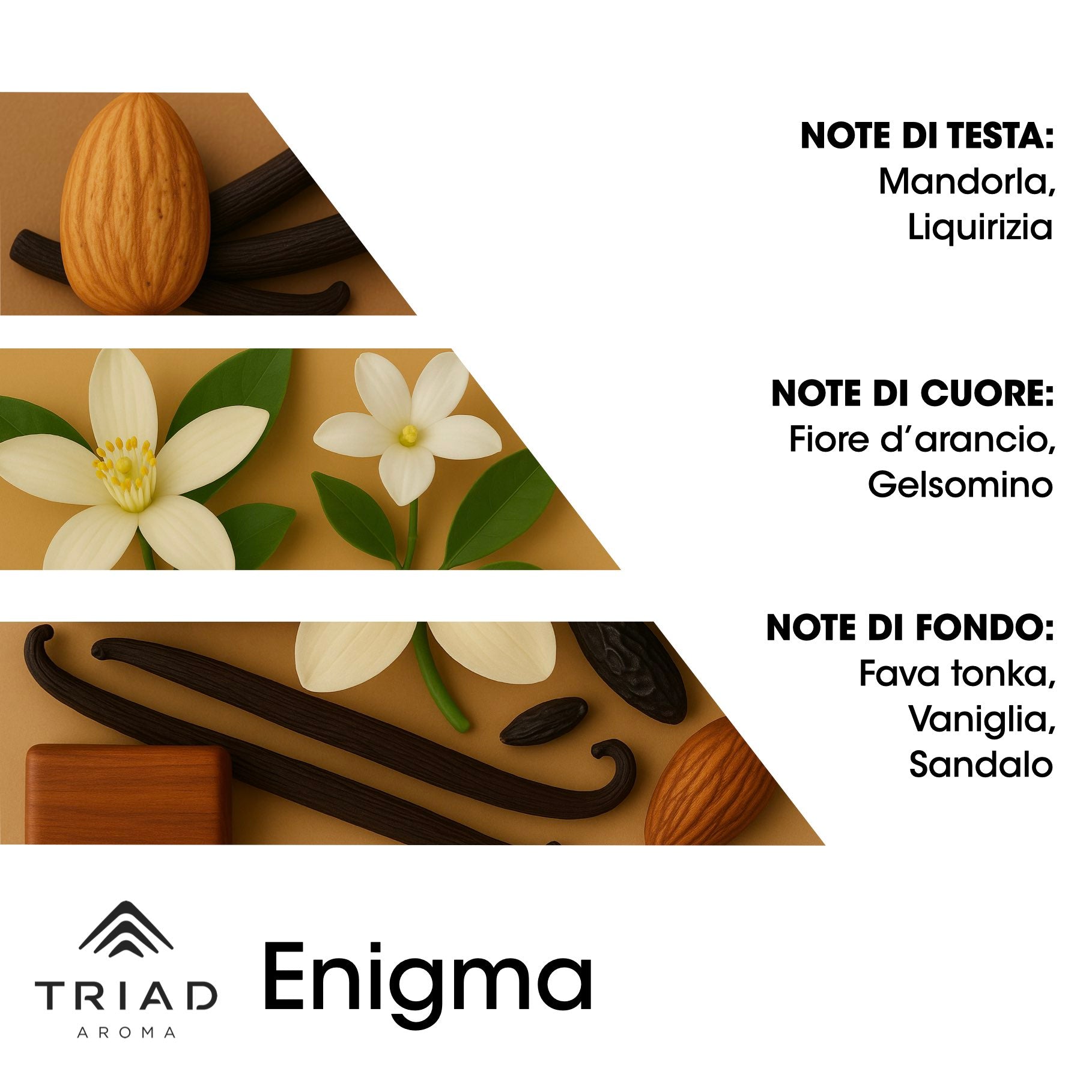 Triad Aroma Piramide olfattiva Enigma con mandorla e liquirizia