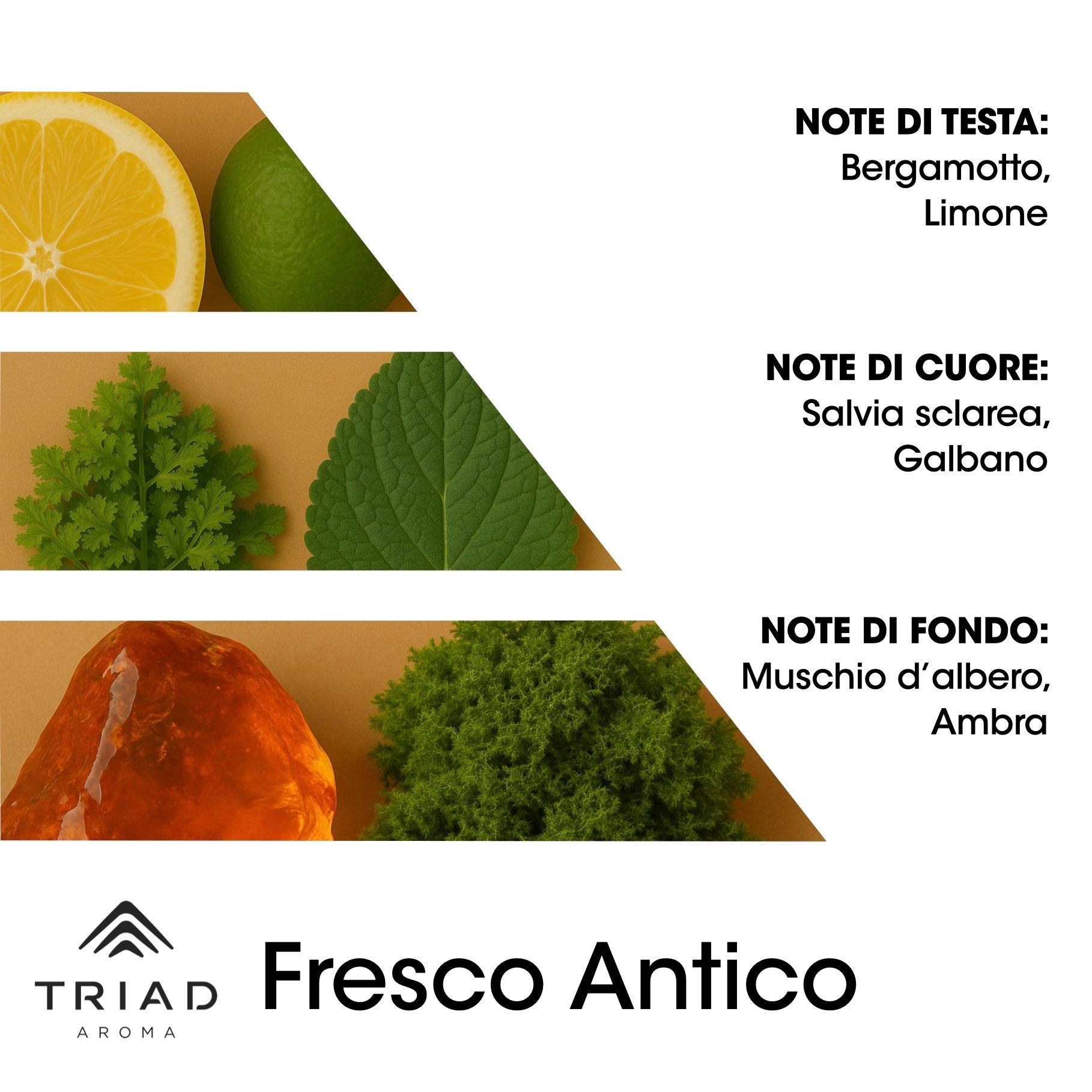 Triad Aroma Piramide olfattiva Fresco antico con bergamotto e limone