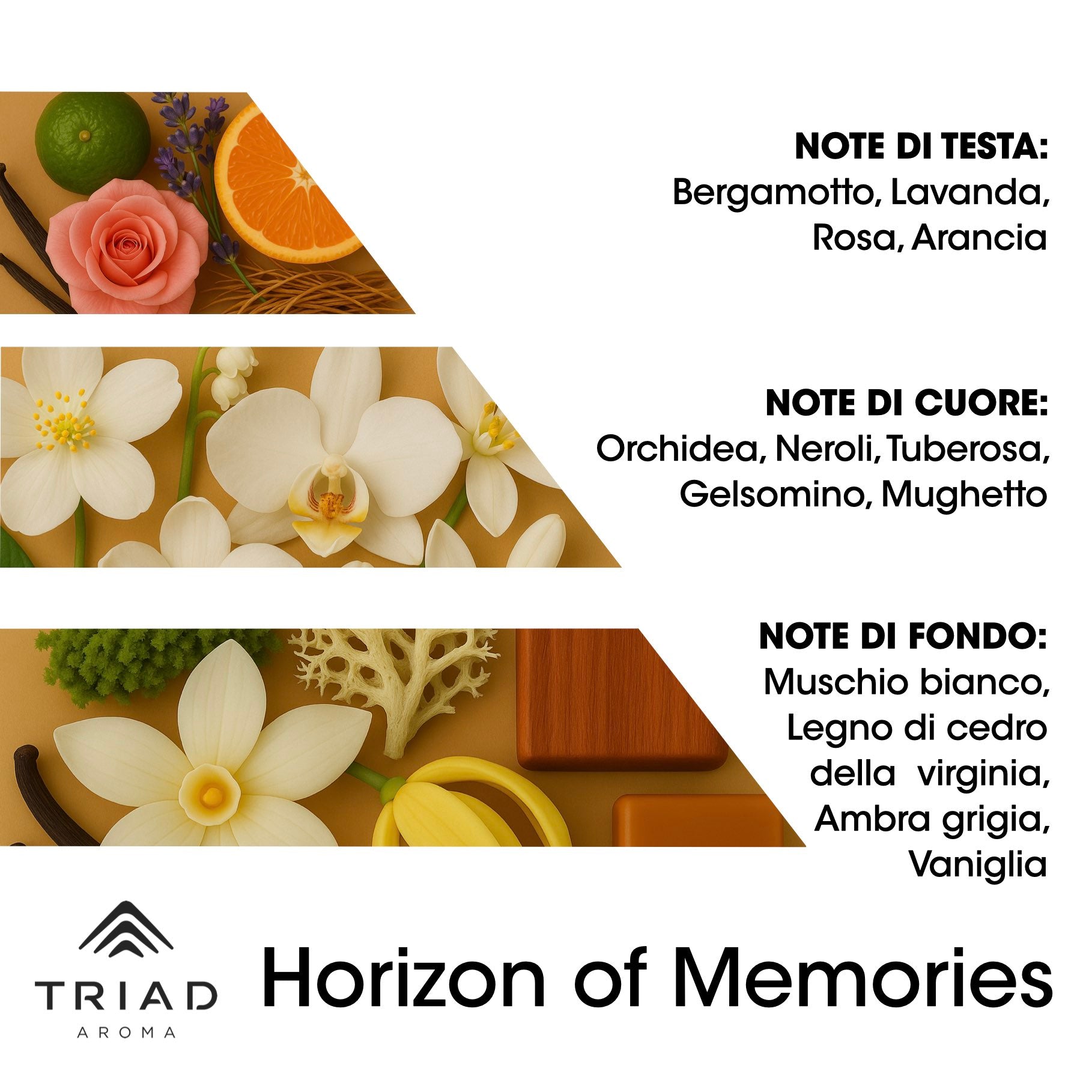Triad Aroma Piramide olfattiva Horizon of memories con bergamotto, lavanda, rosa e arancia