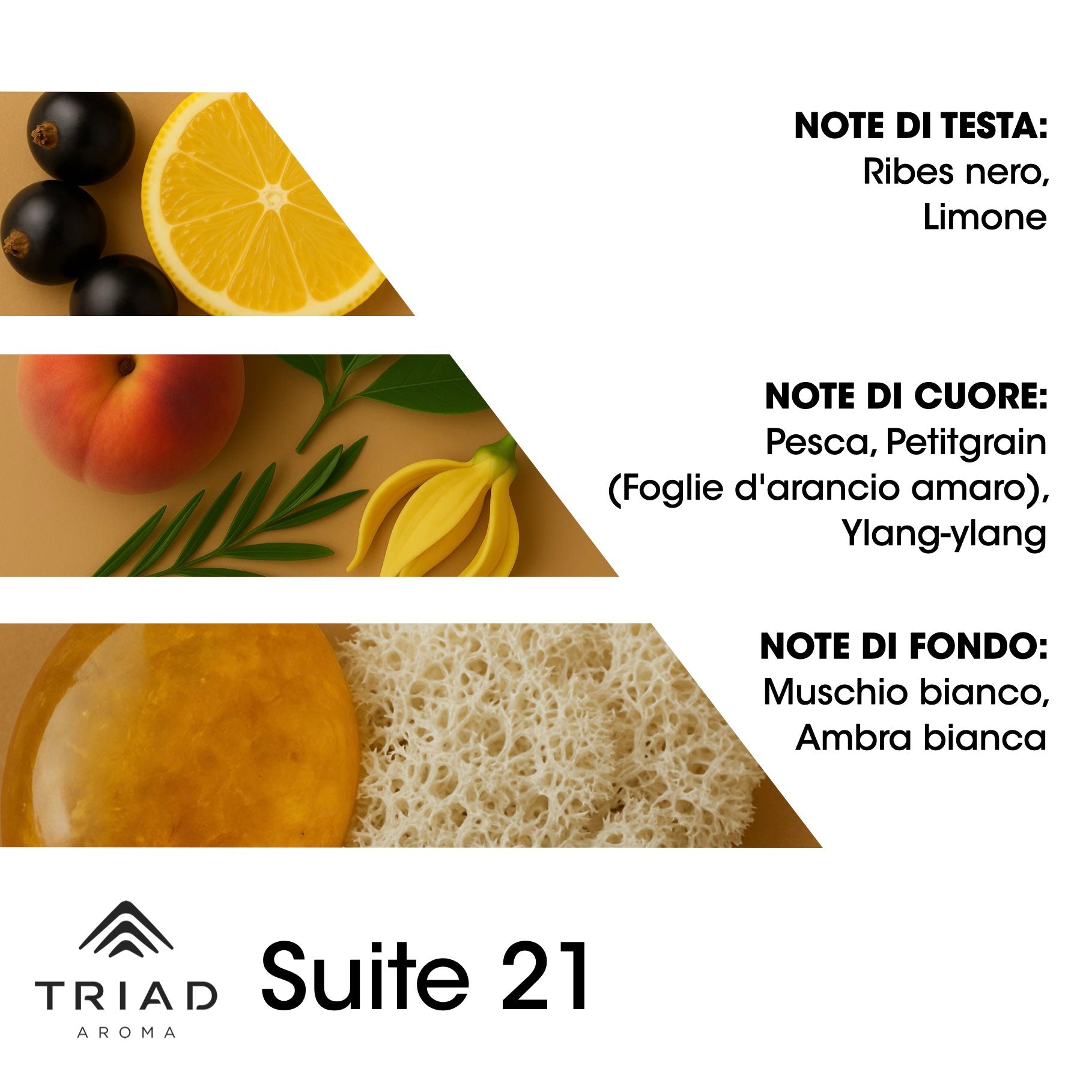 Triad Aroma Piramide olfattiva Suite 21 con ribes nero e limone