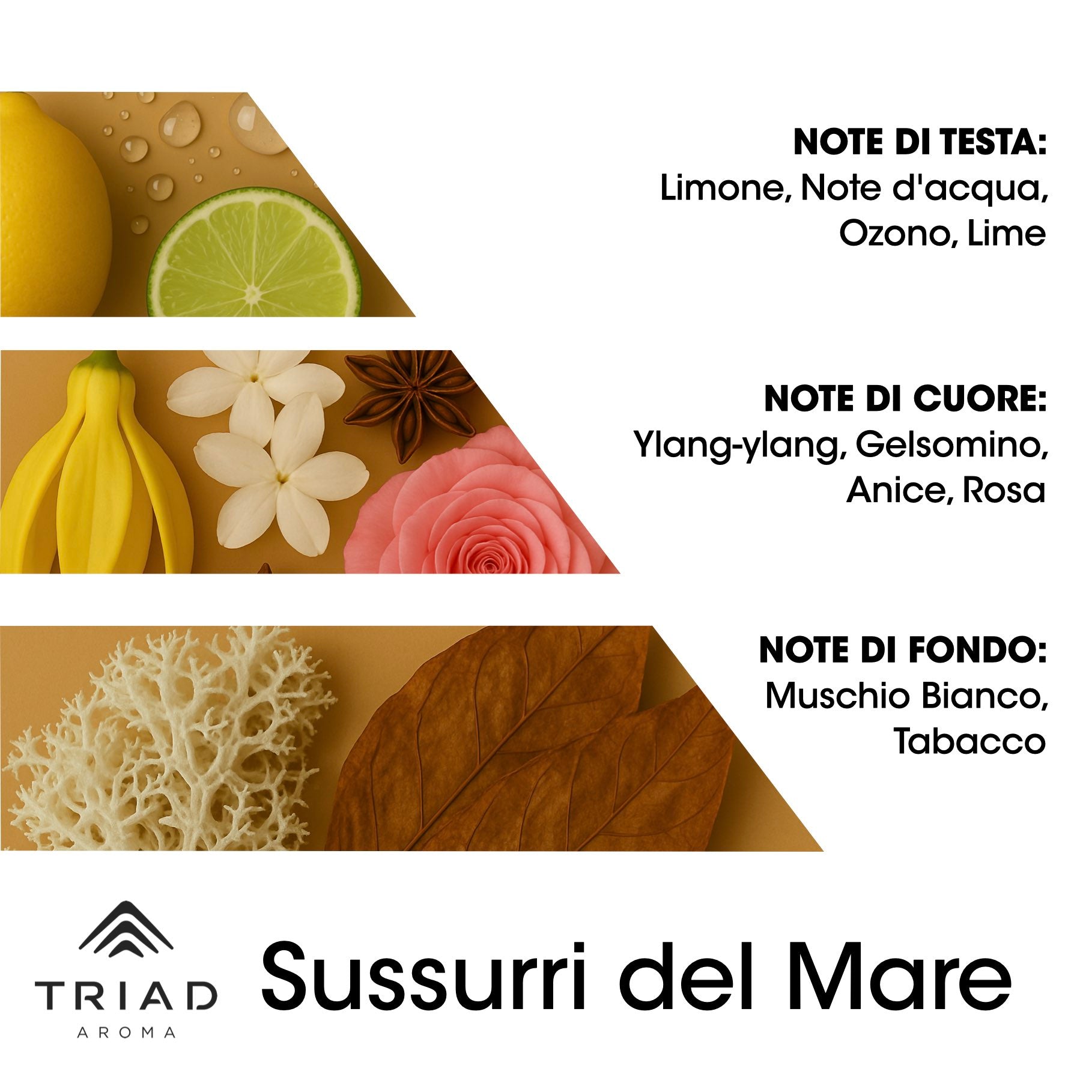 Triad Aroma Piramide olfattiva Sussurri del mare con limone, note d'aqua, ozono e lime