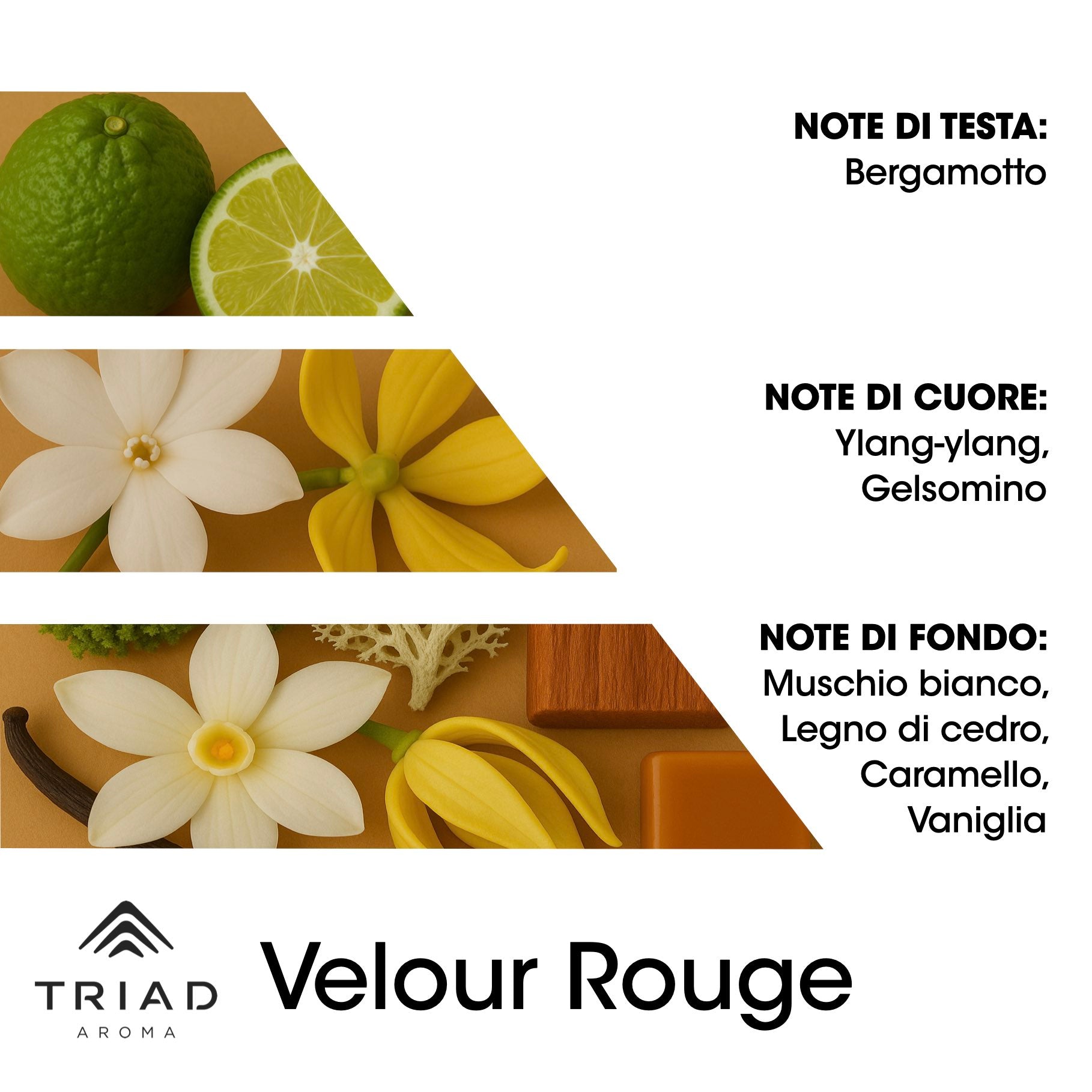 Triad Aroma Piramide olfattiva Velour rouge con bergamotto