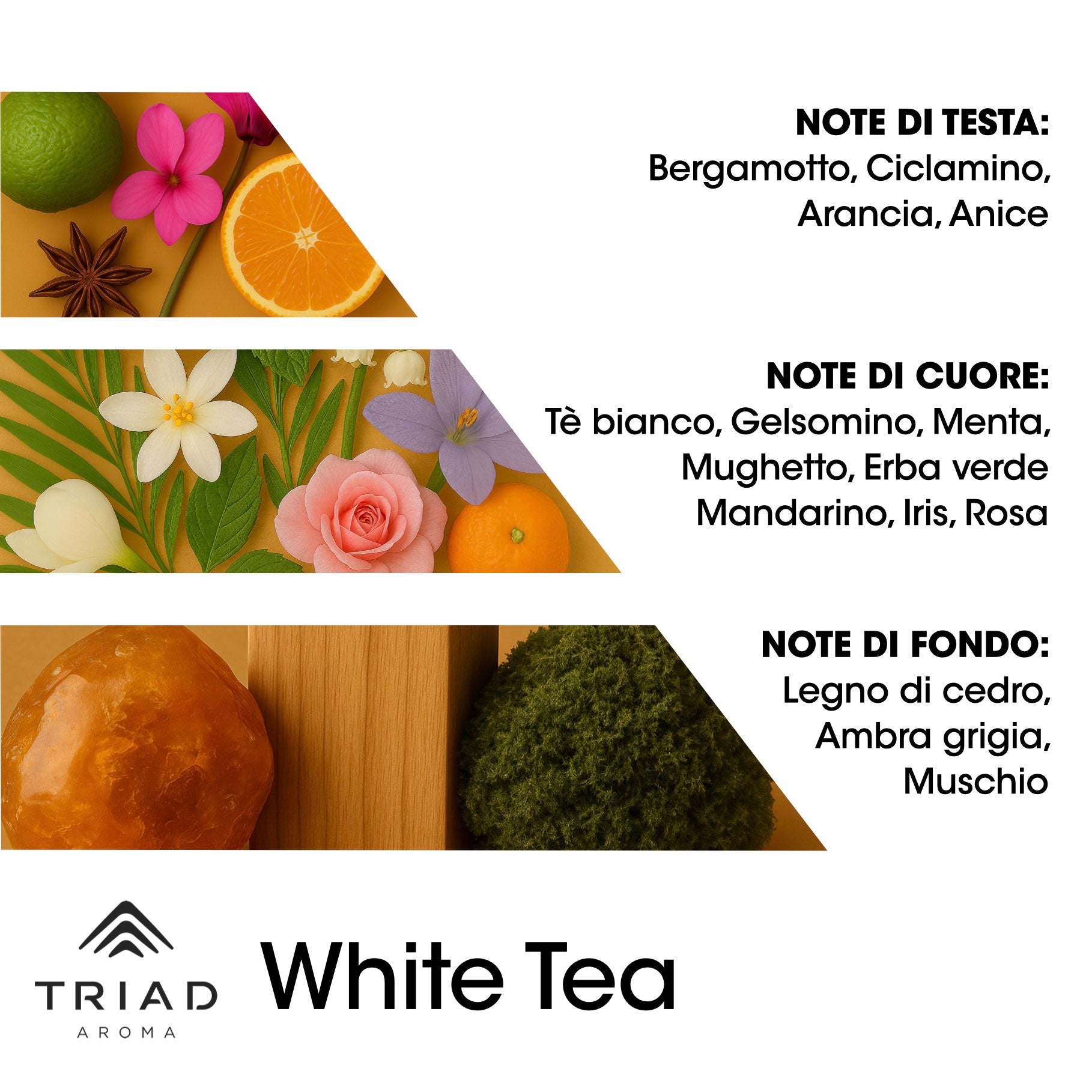 Triad Aroma Piramide olfattiva White tea con begamotto, ciclamino, arancia e anice
