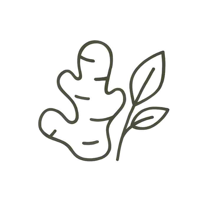 Triad Aroma oli essenziali speziati e freschi, oli essenziali naturali per diffusori elettrici per ambienti