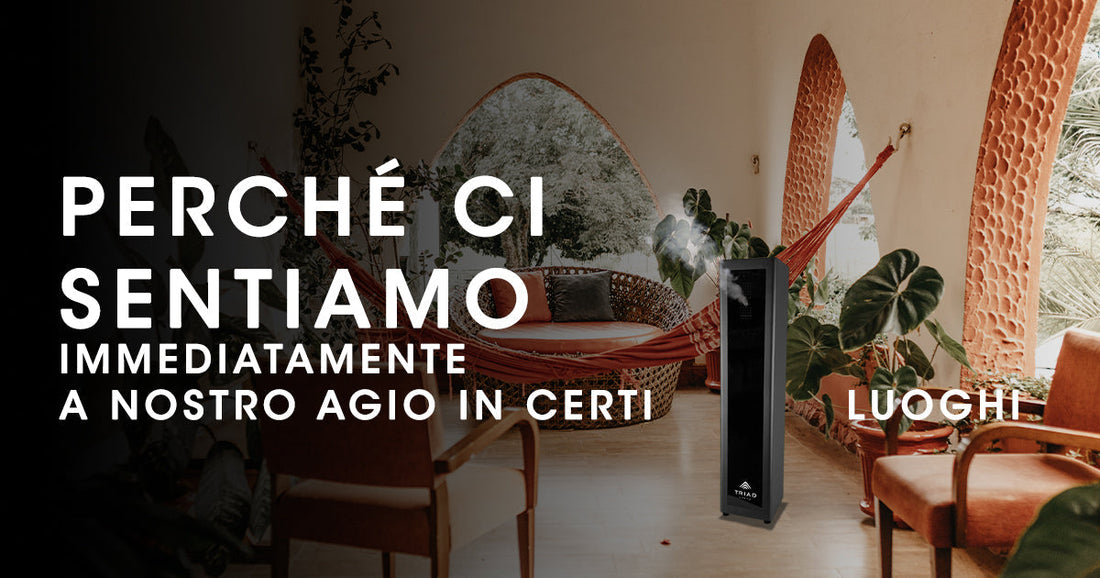 Perché ci sentiamo immediatamente a nostro agio in certi luoghi