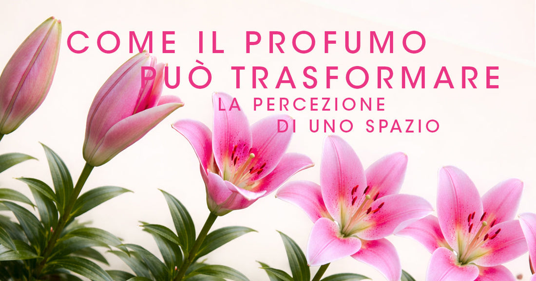 Come il profumola  può trasformare la percezione di uno spazio