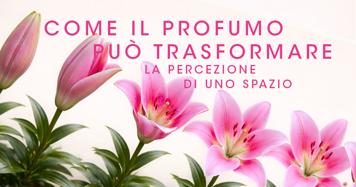 Come il profumola  può trasformare la percezione di uno spazio