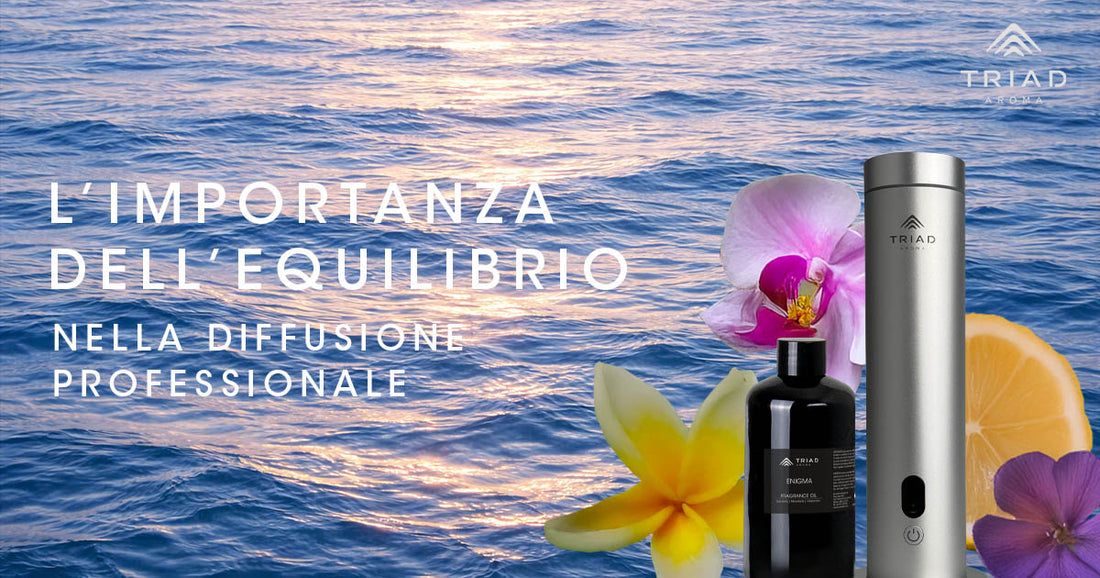 L’importanza dell’equilibrio nella diffusione professionale