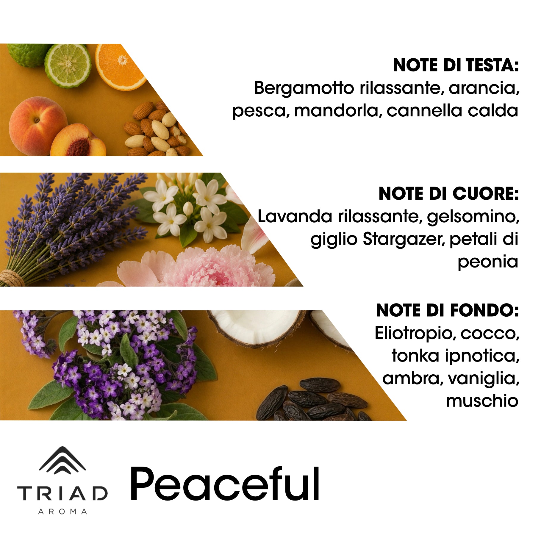 Diffusore MINI Nero + 4 Oli Profumati 20 ml | Escape Selection