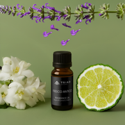 Triad Aroma Fresco Antico ricarica olio profumato 20ml con bergamotto limone oli profumati per diffusori elettrici per ambienti