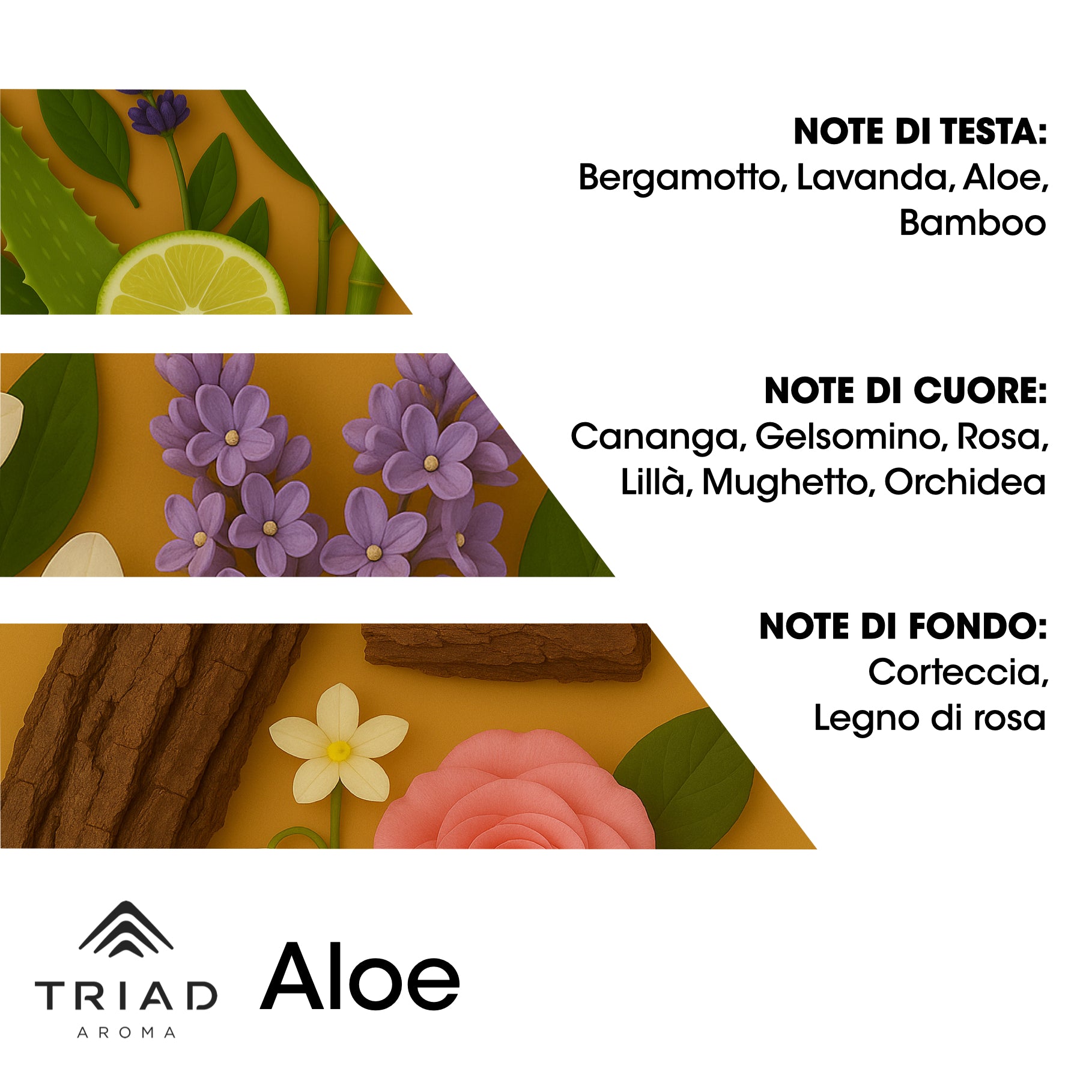 Triad Aroma Piramide olfattiva con Aloe e lavanda bamboo
