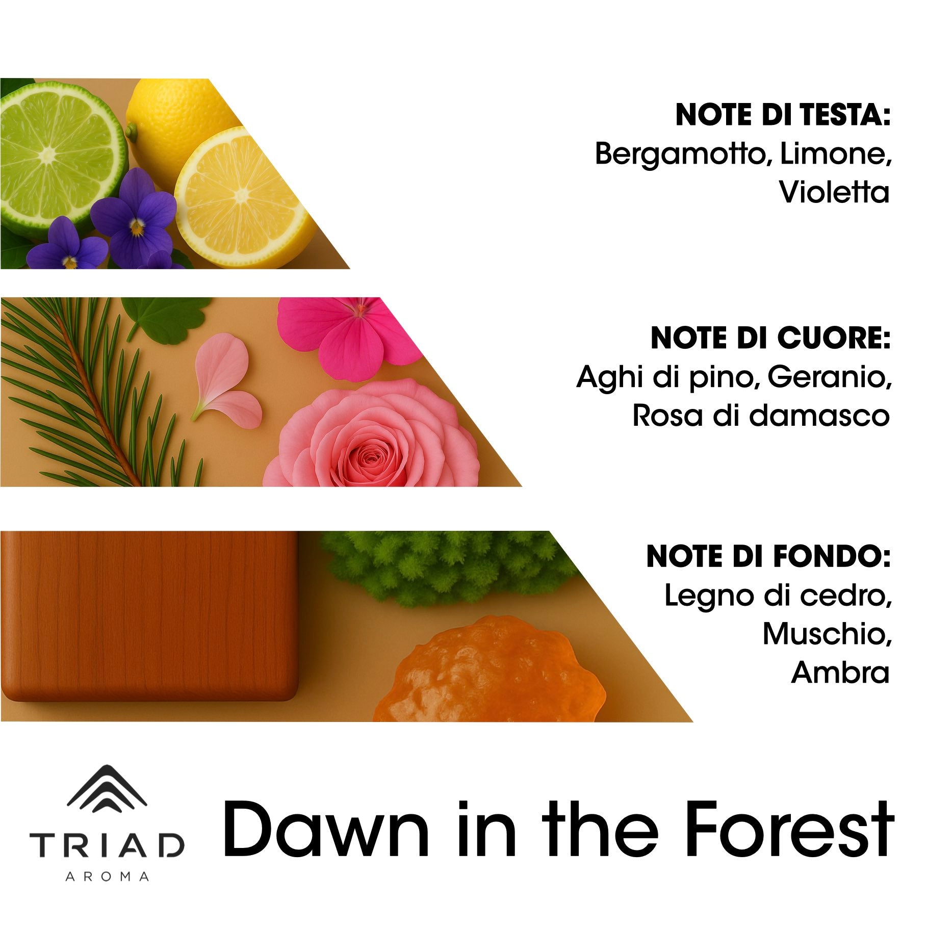 Triad Aroma Piramide olfattiva Dawn in the forest con bergamotto, limone e violetta