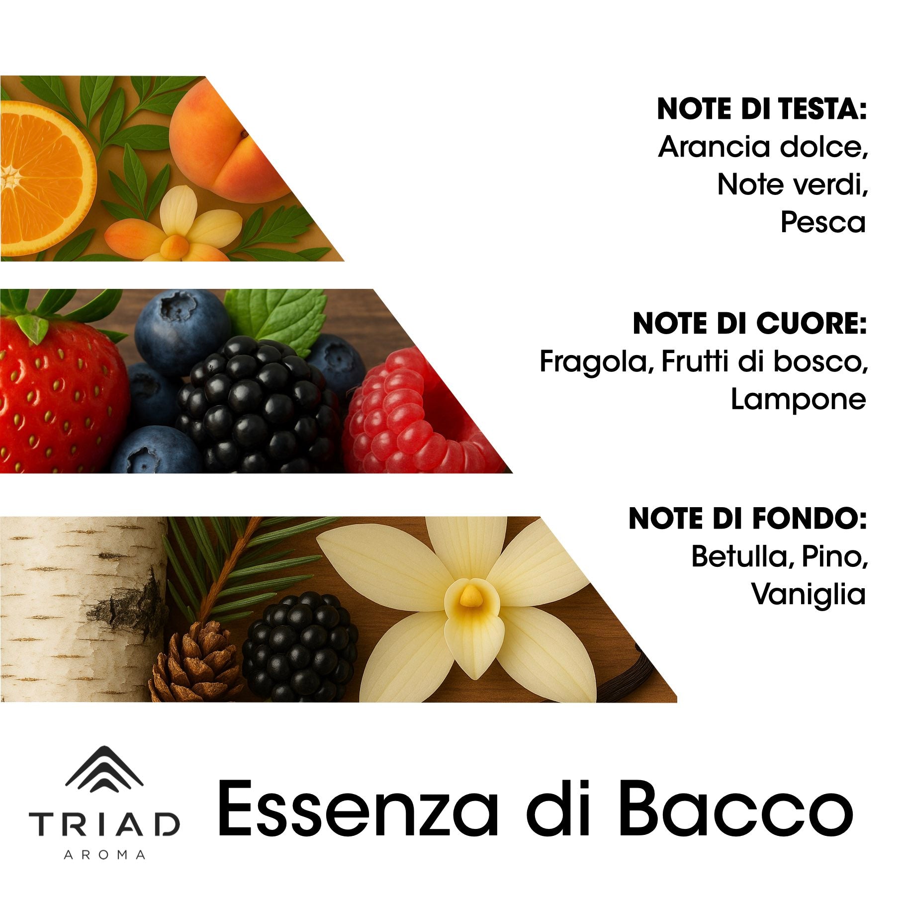 Triad Aroma Piramide olfattiva Essenza di bacco con arancia dolce, note verdi e pesca
