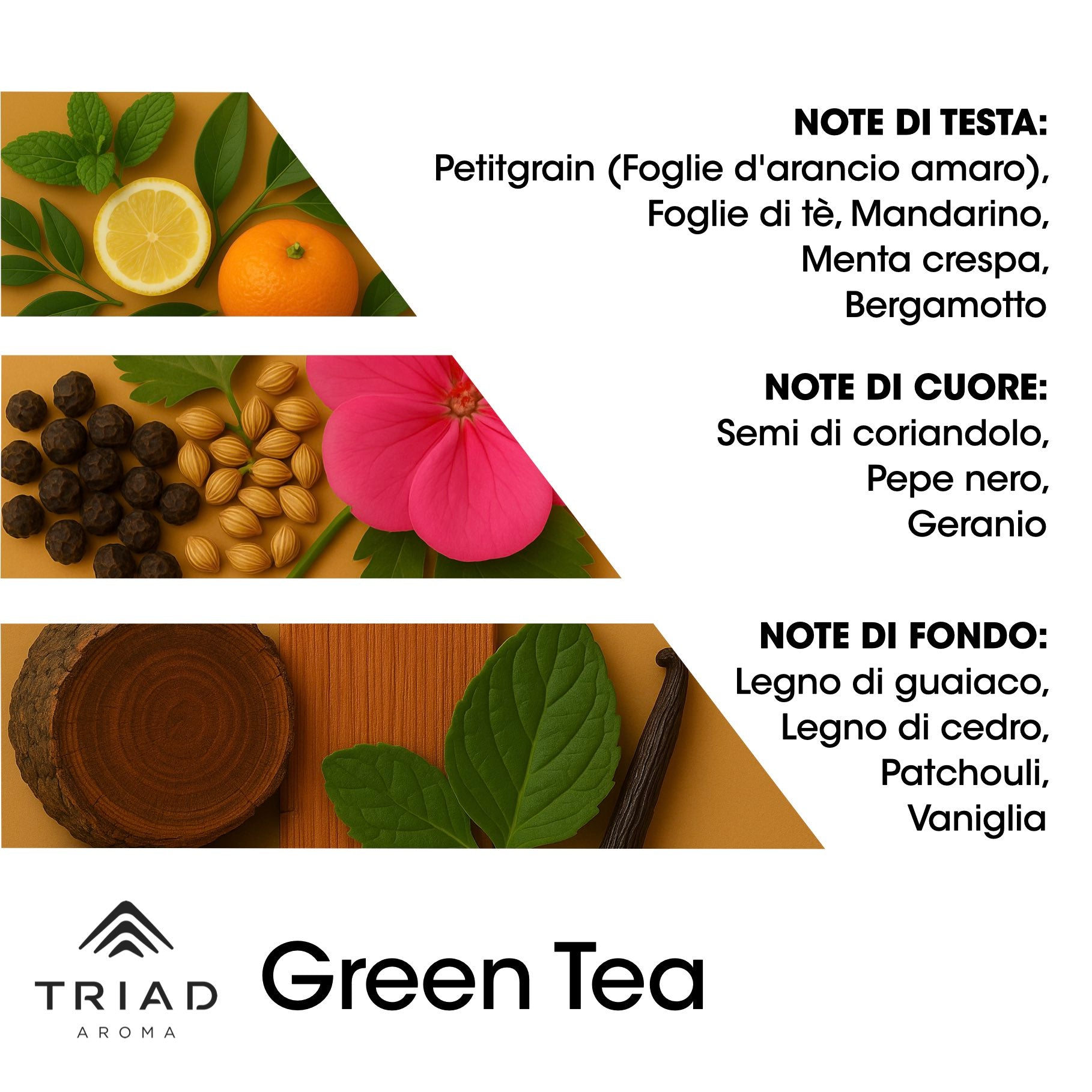 Triad Aroma Piramide olfattiva Green tea con petitgrain, foglie di te, mandarino, menta crespa e bergamotto