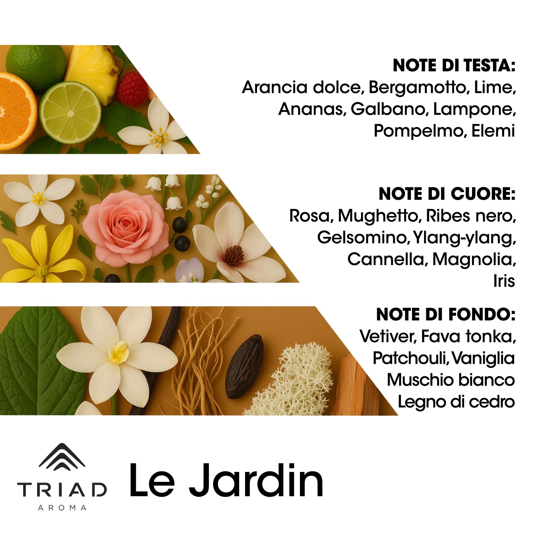 Triad Aroma Piramide olfattiva Le jardin con arancia dolce, bergamotto, lime, ananas, galbano, lampone, pompelmo e elemi