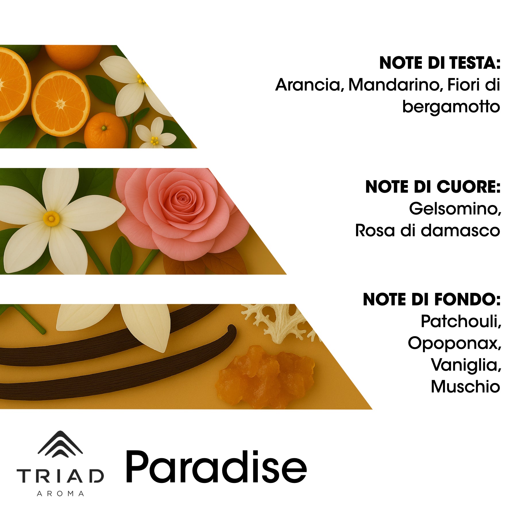 Triad Aroma Piramide olfattiva Paradise con mandarino e arancia