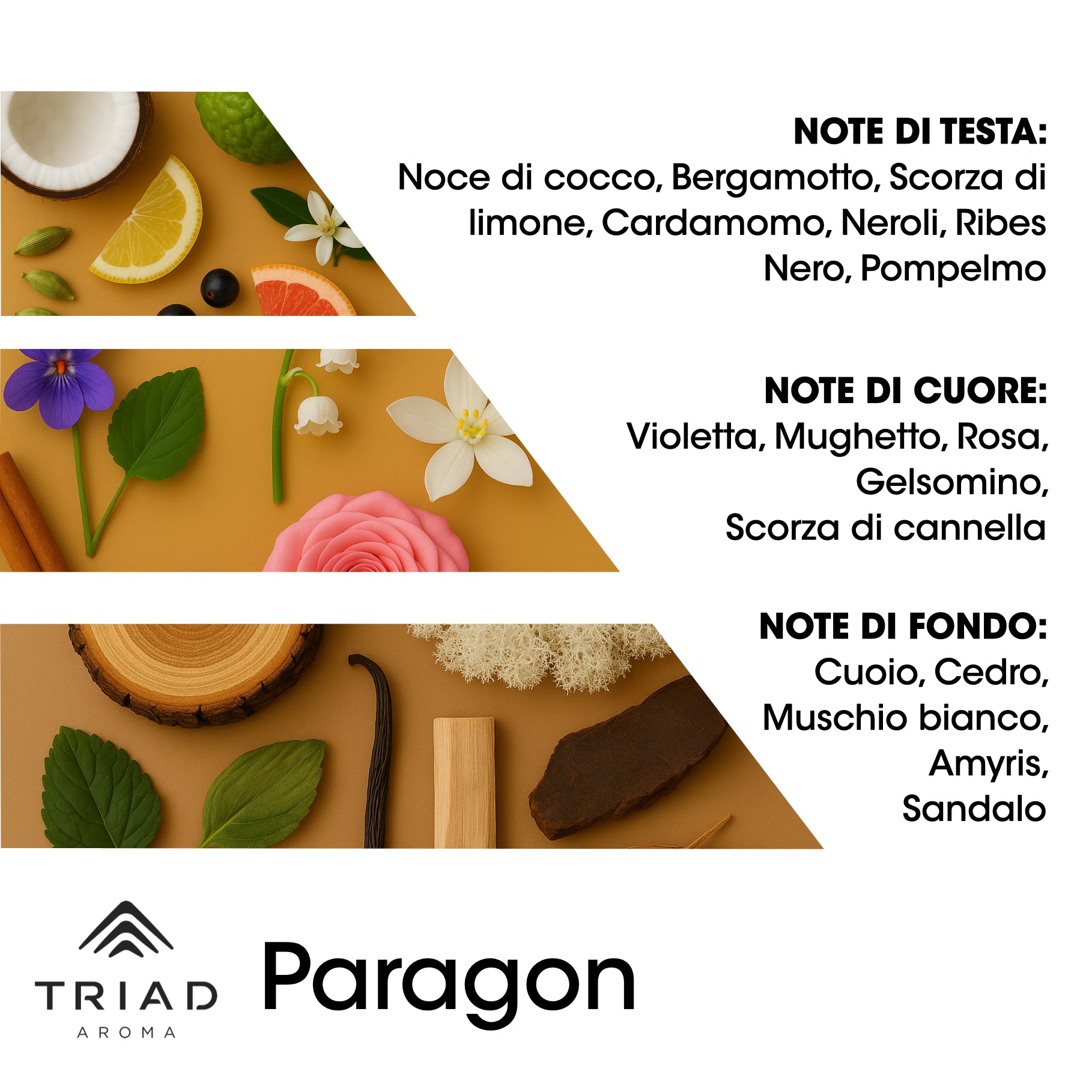 Triad Aroma Piramide olfattiva Paragon con cardamomo e scorza di limone