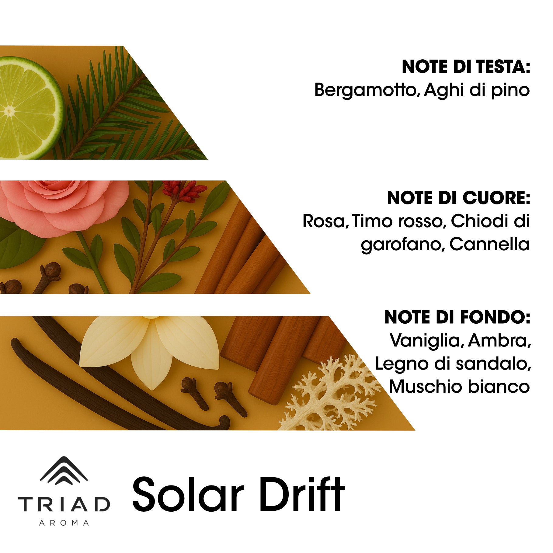 Triad Aroma Piramide olfattiva Solar Drift con ambra e aghi di pino
