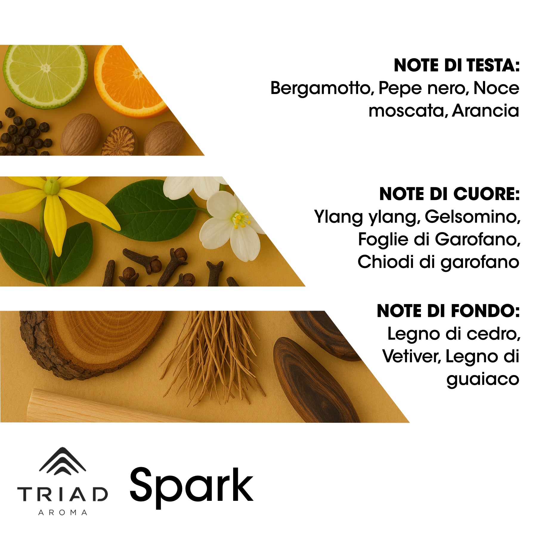 Triad Aroma Piramide olfattiva Spark con noce moscata e legno di cedro