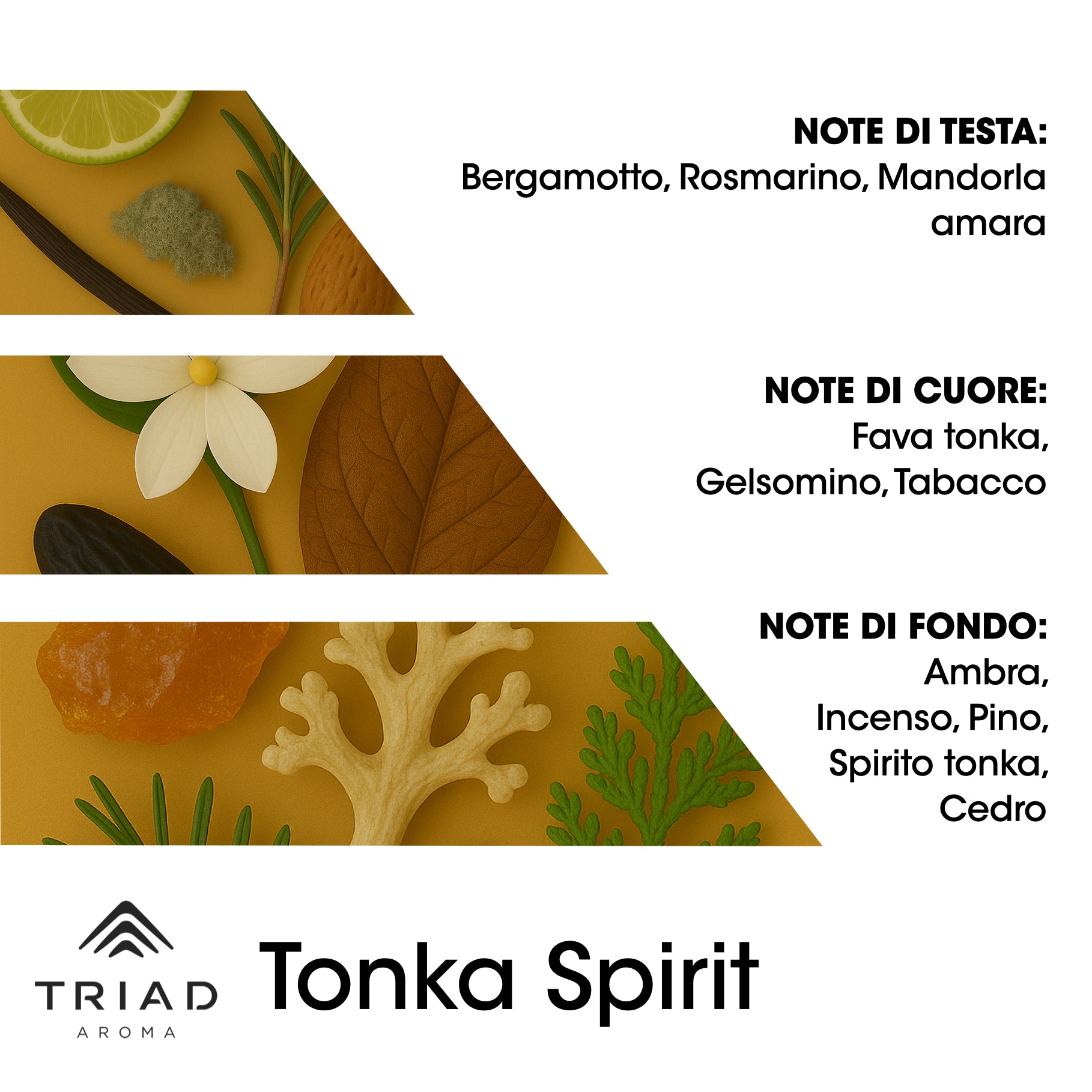 Triad Aroma Piramide olfattiva Tonka Spirit con tabacco e rosamarino