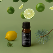 Triad Aroma Seta & Cashmere ricarica olio profumato 20ml con lilla limetta  oli profumati per diffusori elettrici per ambienti