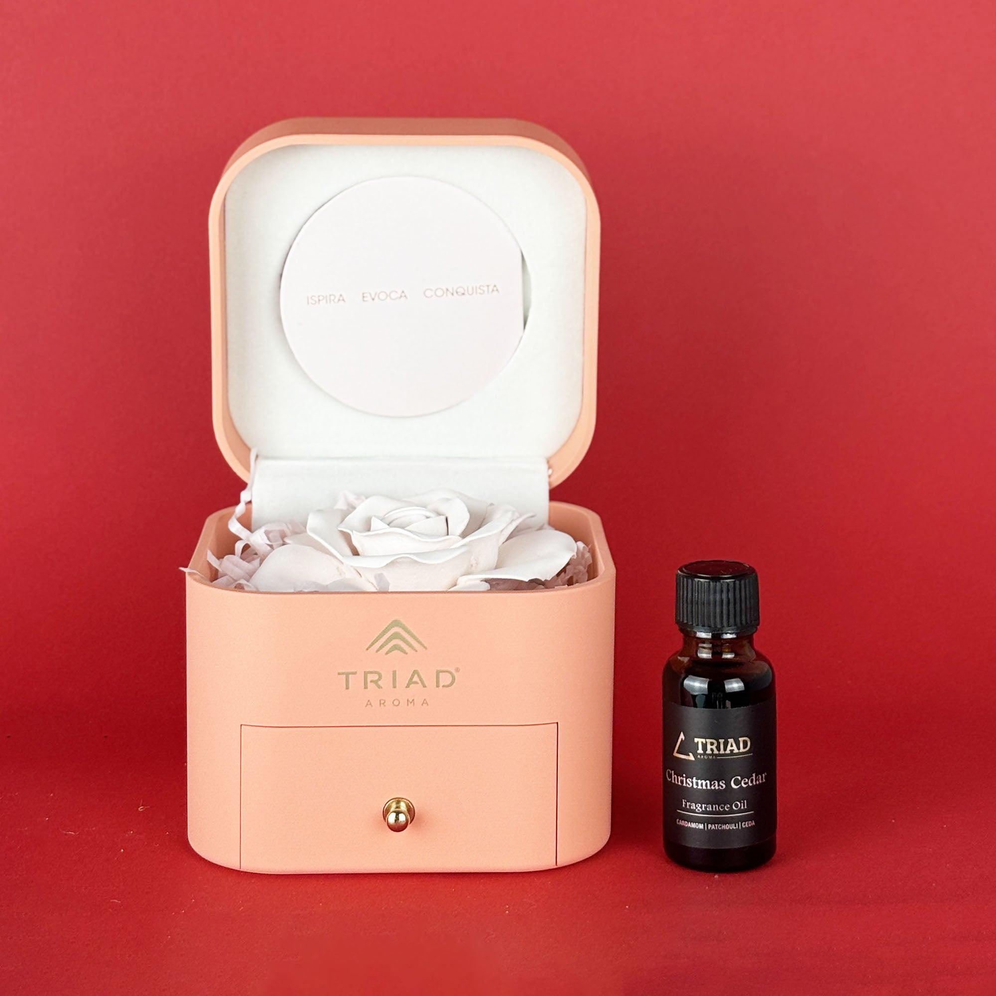 Idea Regalo - Fiore Profumato in Scatola Rosa + Olio Profumato 20 ml
