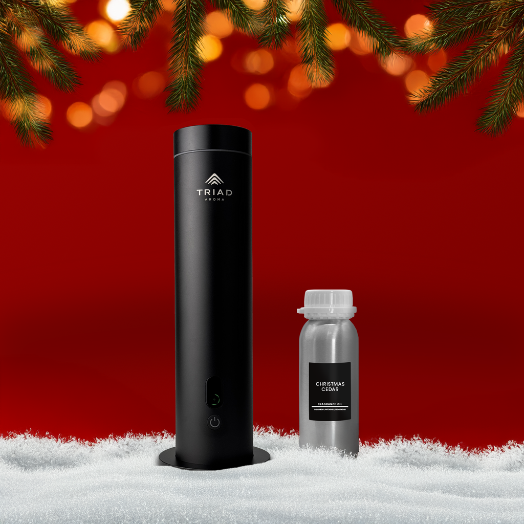 CHRISTMAS COMBO AURORA + Olio Profumato 250 ml